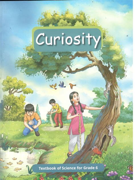 CurioCity .